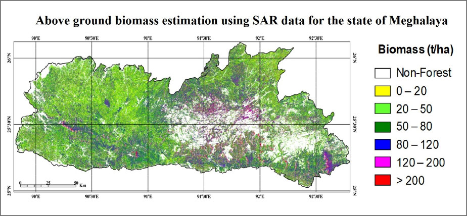Forest biomass assessment using SAR