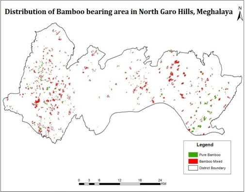 Mapping of bamboo resources in NER