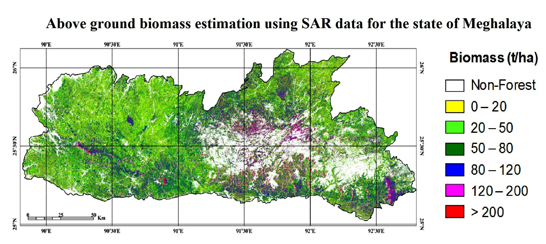 Forest biomass assessment using SAR